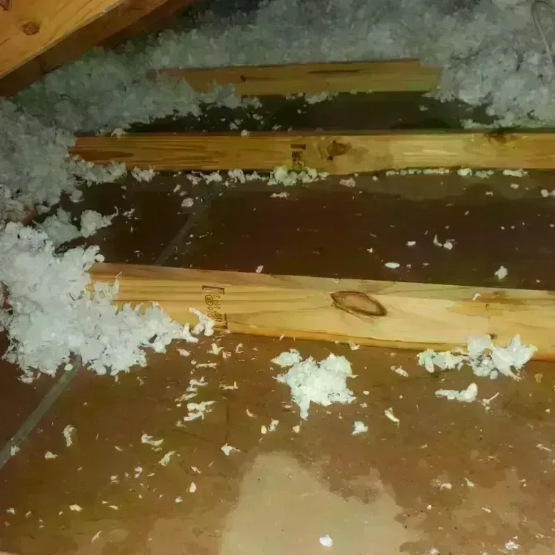 Attic Water Damage in Fifth Street, TX