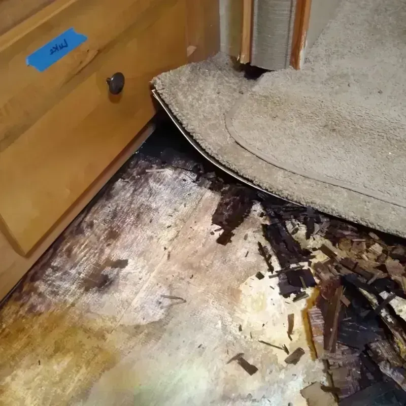 Wood Floor Water Damage in Fifth Street, TX